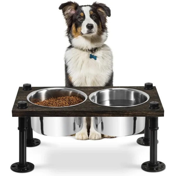 Raised Dog Bowl Stand