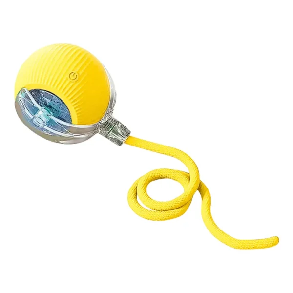 Cat Toy Ball